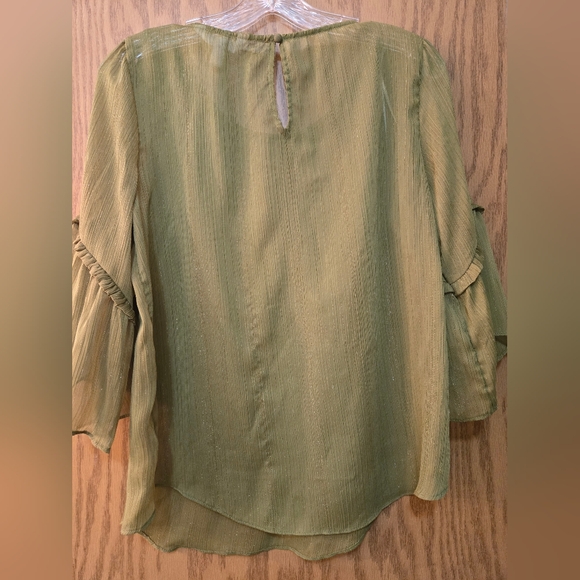 Beautiful sheer green top with gold metallic threads and 3/4 sleeves. - Picture 6 of 7